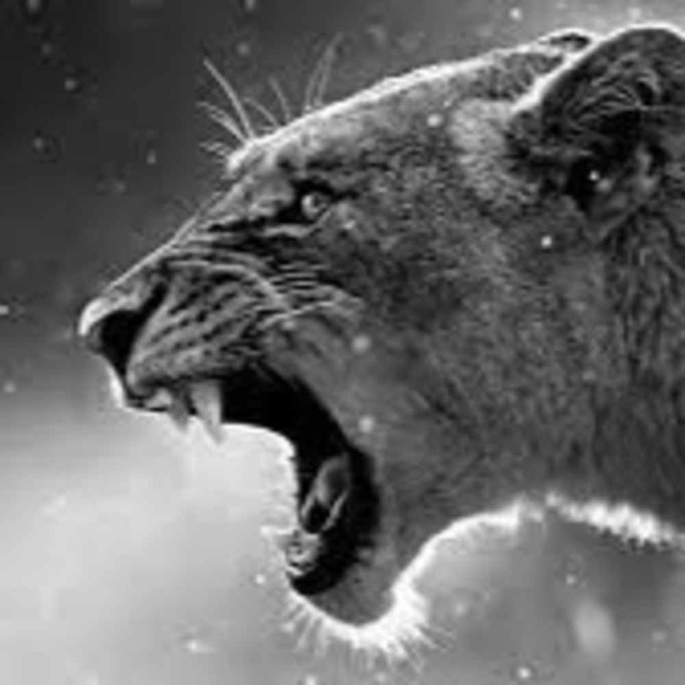 Meet your Posher, Thania